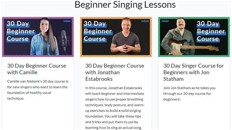 30 day singer course review.